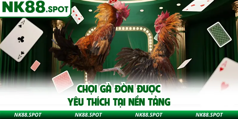Chọi gà đòn được yêu thích tại nền tảng 